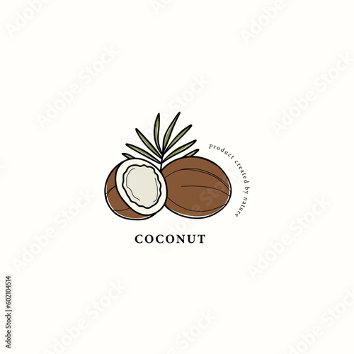 Line art coconut with leaf drawing