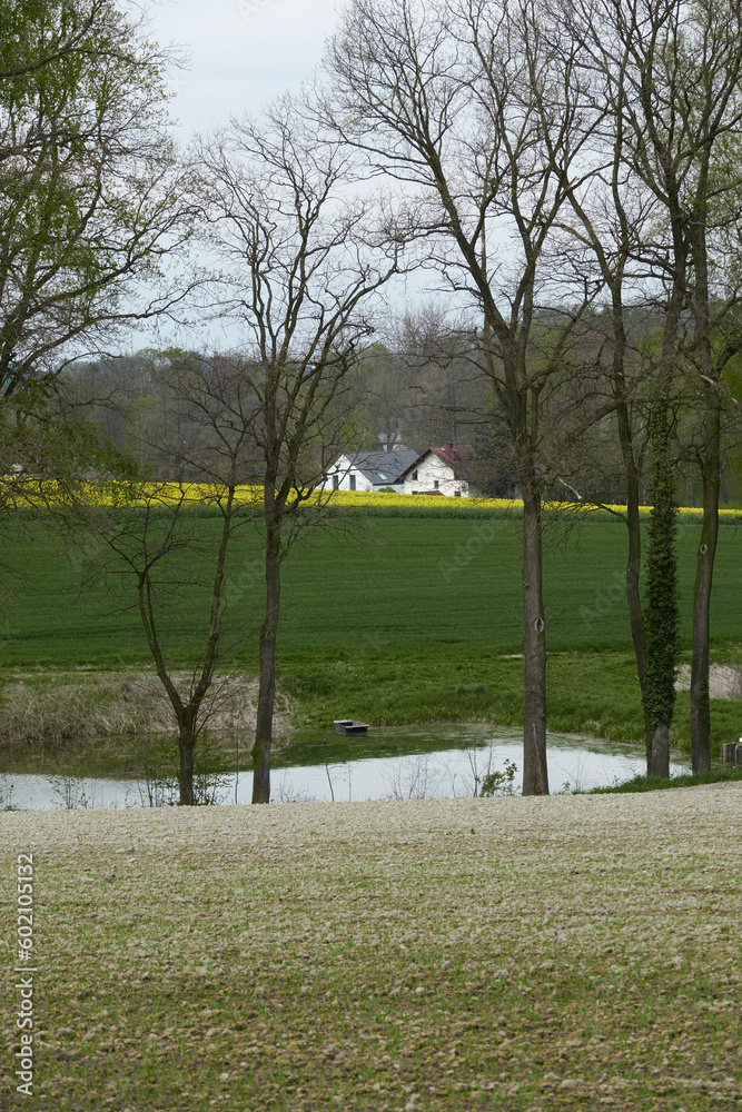 Obraz premium dom za wzgórzem #6