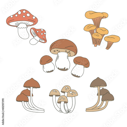 Autumn mushroom vector clip-art set isolated on white. Fall fungus hand drawn illustration collection. Happy Thanksgiving Day design elements