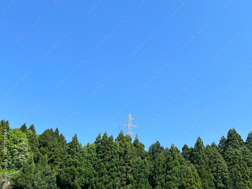 Obraz premium 山の中の鉄塔