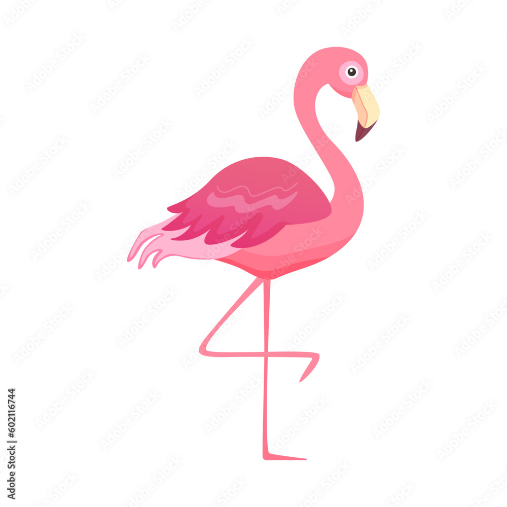 Pink flamingo. Cute bird in cartoon style. Vector illustration isolated on white.