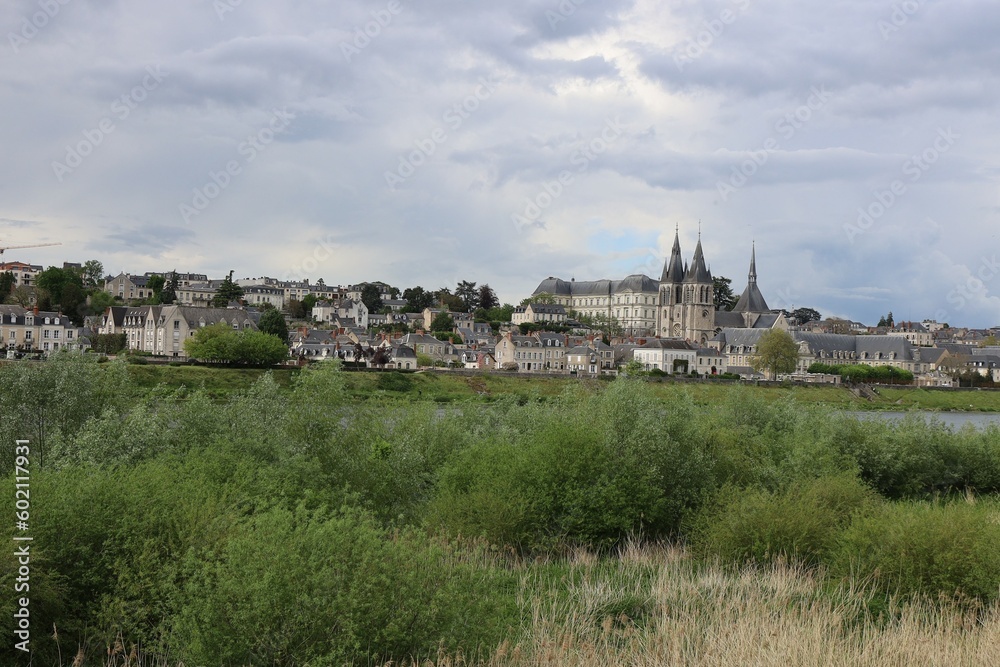Vue d'ensemble de la ville, ville de Blois, département du Loir et Cher, France