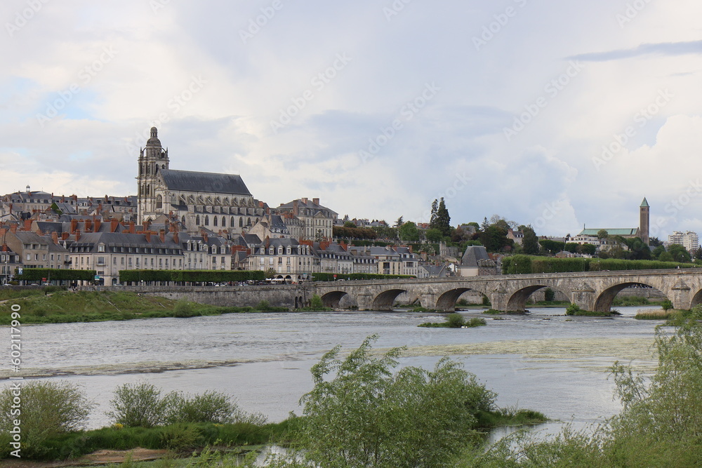 Vue d'ensemble de la ville, ville de Blois, département du Loir et Cher, France