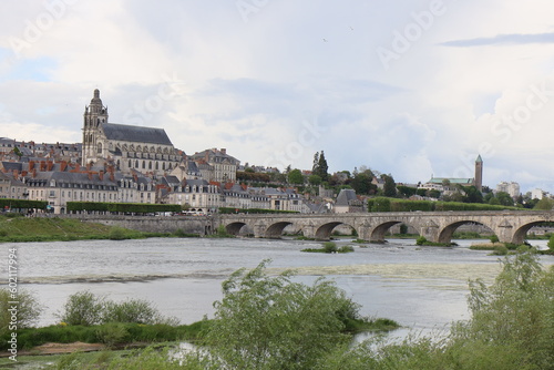 Vue d'ensemble de la ville, ville de Blois, département du Loir et Cher, France © ERIC