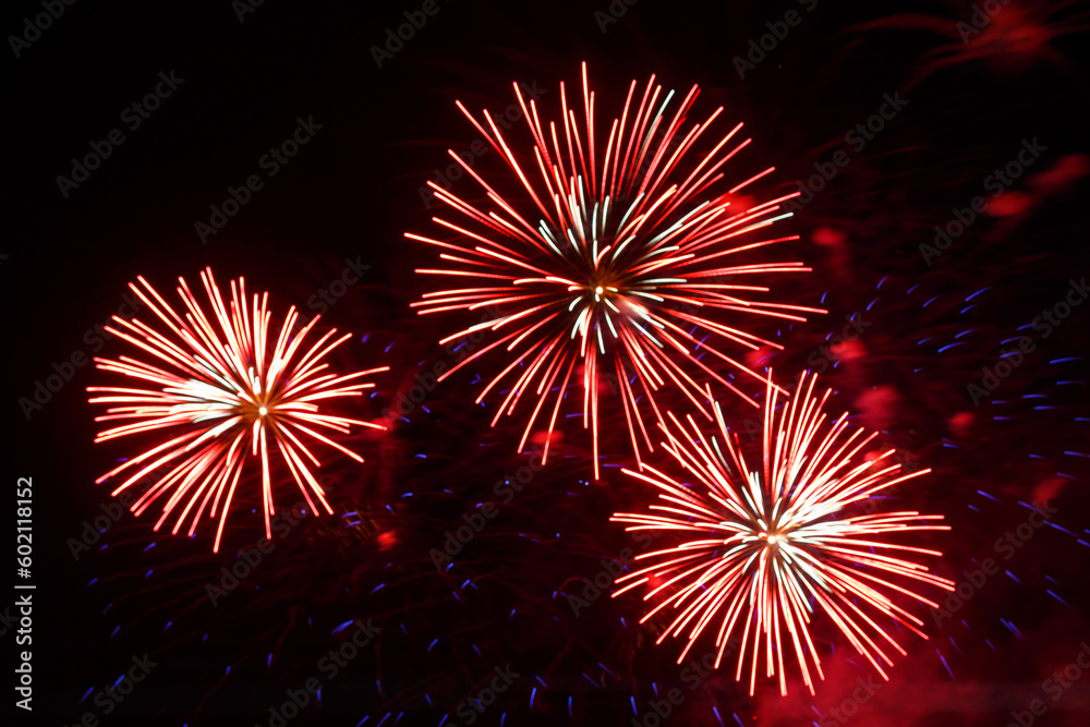 pink firework sparks bright on black night sky. pink firework sparks bright on black night sky.
