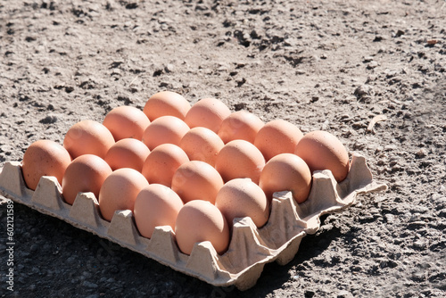 Brown eggs in a box. Farm food product. Beautiful sunny background with eggs.