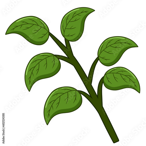 leaves isolated on white