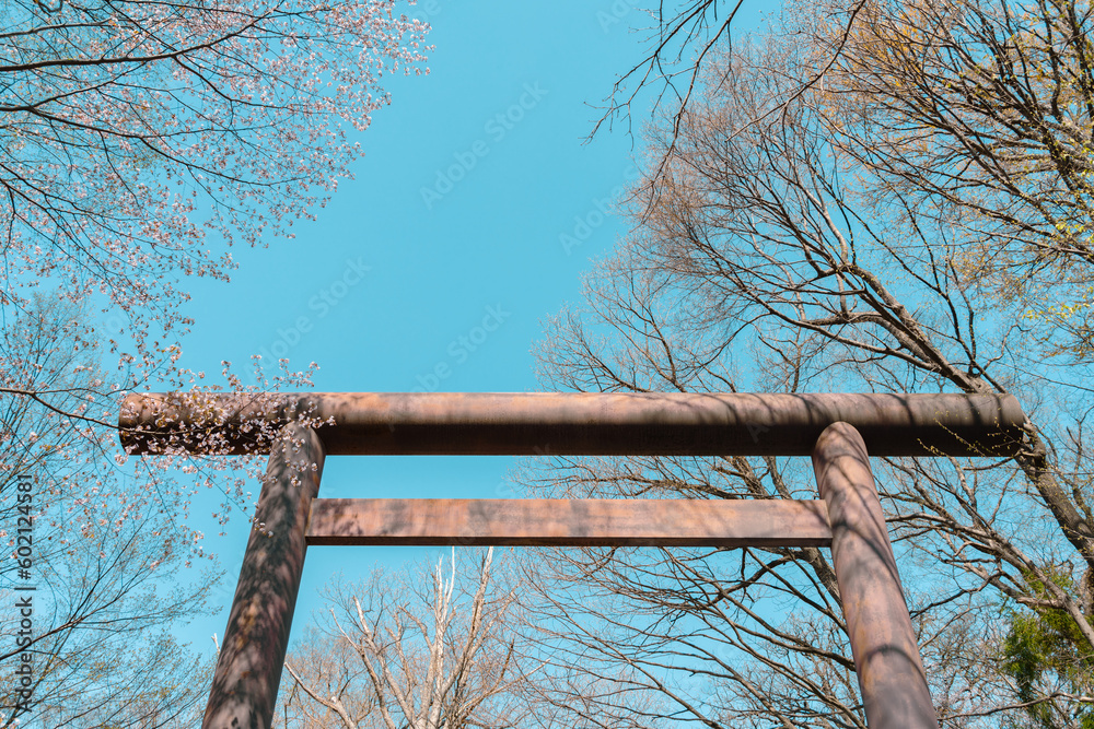 Hokkaido Shrine Torii gate at Maruyama park in Sapporo, Hokkaido, Japan