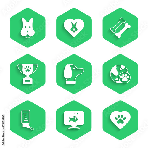 Set Dog, Fish, Heart with animals footprint, World pet, Drinker for small pets, Pet award symbol, bone and icon. Vector