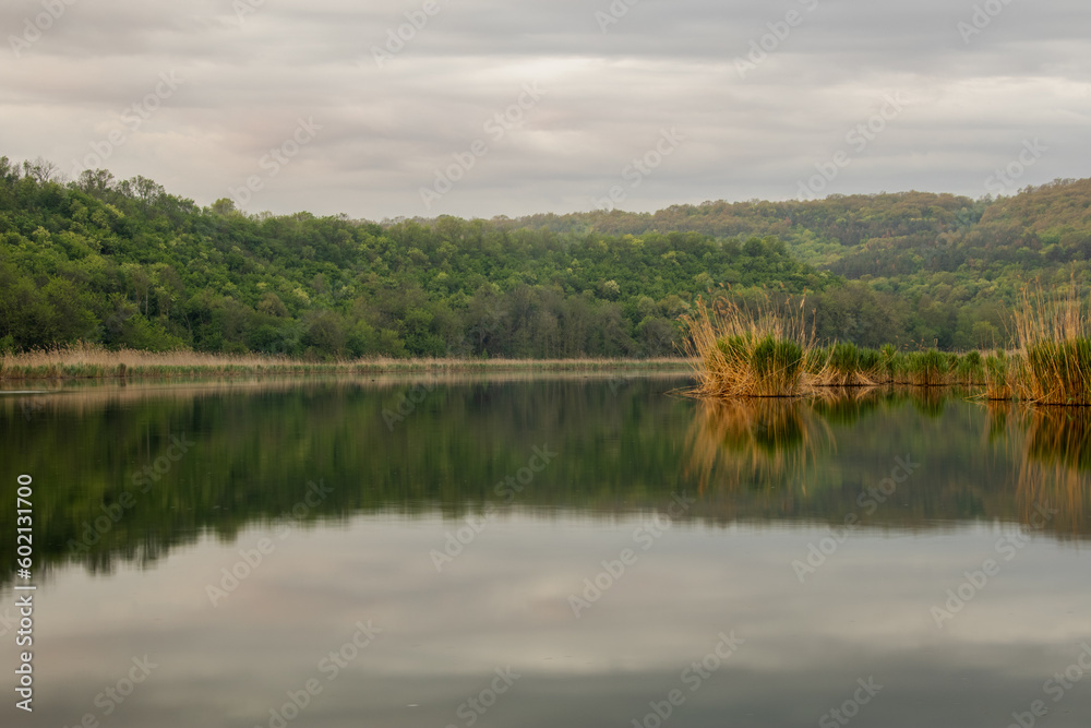 reflection of trees in water reflection of trees in water
