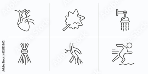 sauna outline icons set. thin line icons such as cardiovascular system, vasta, luxury shower, birching, arterioles, adrenalin rush vector.