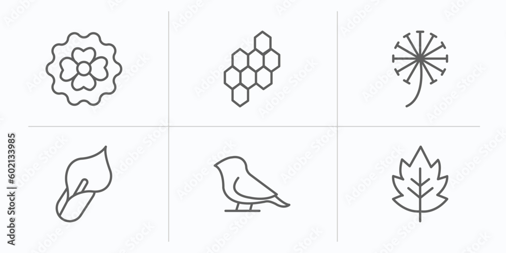 nature outline icons set. thin line icons such as dianthus, hive, dandelion, calla, bird, hawthorn vector.