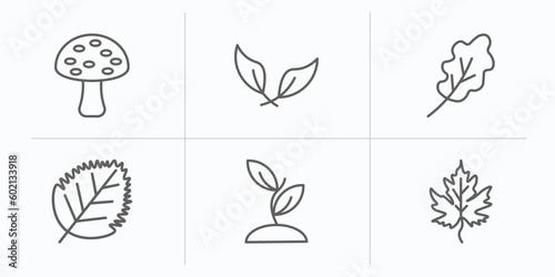 nature outline icons set. thin line icons such as amanita  falcate  oak leaf  birch leaf  seeding  gooseberry leaf vector.