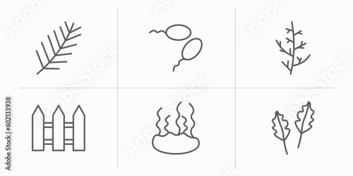 nature outline icons set. thin line icons such as pine needle, fertilize clinic, cypress leaf, fences, fasciculate, pedunculate vector.
