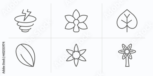 nature outline icons set. thin line icons such as , orchid, poplar, almond, jonquil, hypericum vector.