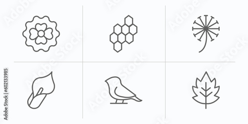nature outline icons set. thin line icons such as dianthus, hive, dandelion, calla, bird, hawthorn vector.