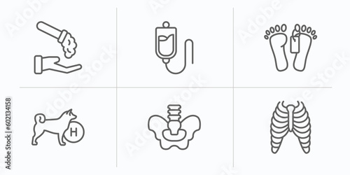 medical outline icons set. thin line icons such as acid falling on hand, plasma, dead, canine, pelvic area, sternum vector.