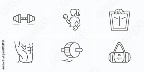 gymandfitness outline icons set. thin line icons such as workout, fitness, scale, press, roller, sport bag vector.
