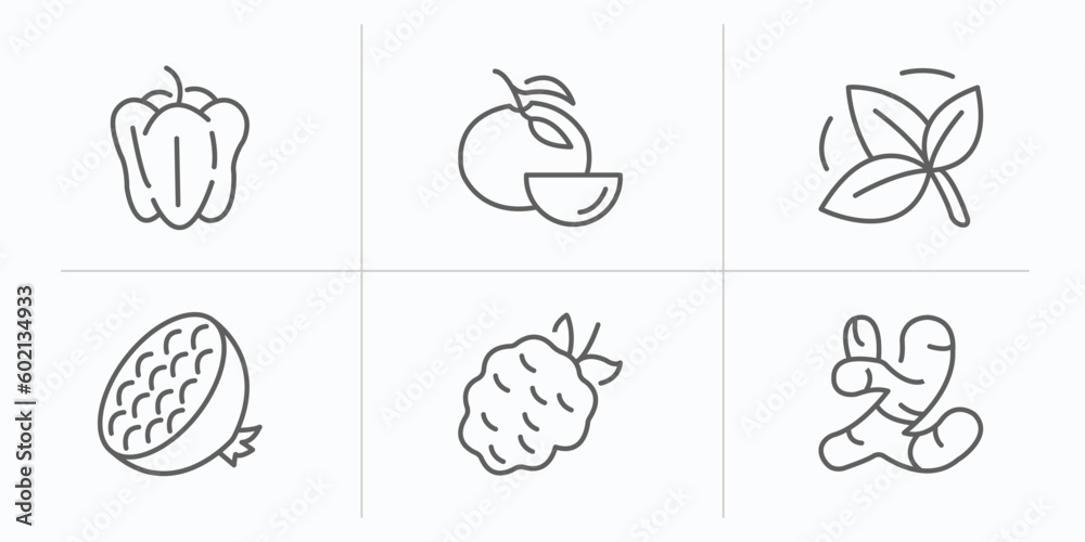 fruits and vegetables outline icons set. thin line icons such as bell pepper, tangerine, basil, pomegranate, blackberry, ginger vector. fruits and vegetables outline icons set. thin line icons such as bell pepper, tangerine, basil, pomegranate, blackberry, ginger vector.