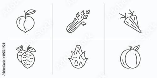 fruits and vegetables outline icons set. thin line icons such as peach, celery, carrot, lychee, dragon fruit, apricot vector.