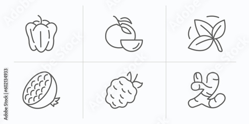 fruits and vegetables outline icons set. thin line icons such as bell pepper, tangerine, basil, pomegranate, blackberry, ginger vector.