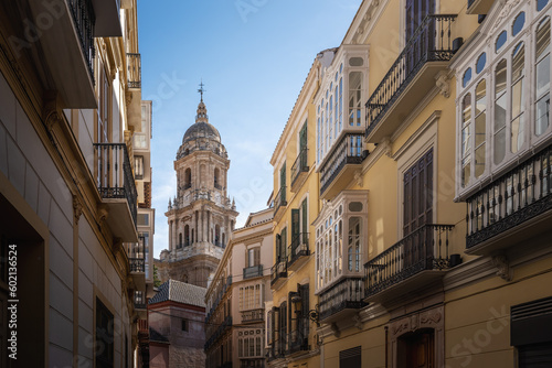 Malaga Cathedral - Malaga, Andalusia, Spain © diegograndi
