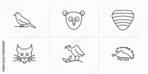 animals outline icons set. thin line icons such as canary  philippine tarsier  clam  lynx  vulture  hegdehog vector.