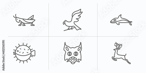 animals outline icons set. thin line icons such as grasshopper, hawk, orca, puffer, pallas cat, roe vector.