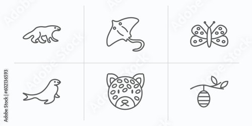animals outline icons set. thin line icons such as wolverine, stingray, moth, sea lion, jaguar, cocoon vector.