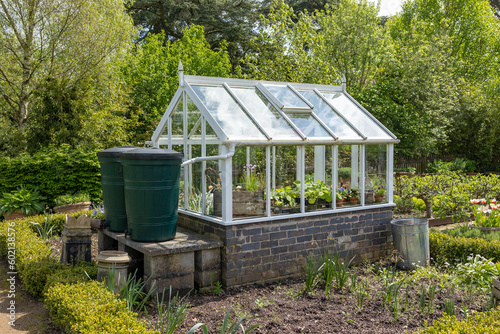 A garden plot with seedbeds and a glass greenhouse in the center of kitchen garden. A suburban or rustic backyard for gardening. A warm summers day.Trentham gardens staffordshire
