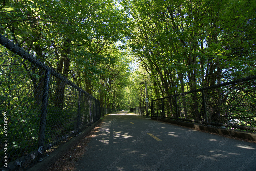 Empty Redmond Central Connector trail on a summer afternoon Empty Redmond Central Connector trail on a summer afternoon