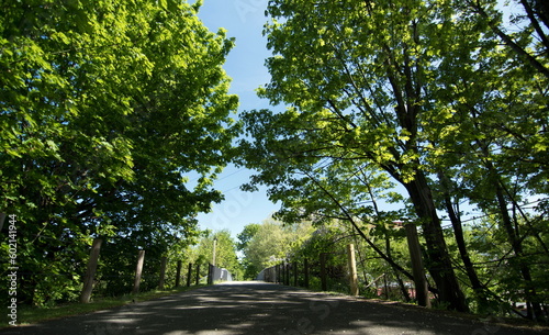 Empty  Redmond Central Connector trail  on a summer afternoon - 2