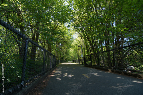 Empty Redmond Central Connector trail on a summer afternoon