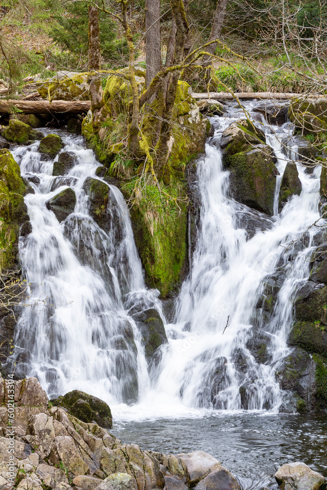 cascades jumelles dans la forêt vosgienne cascades jumelles dans la forêt vosgienne
