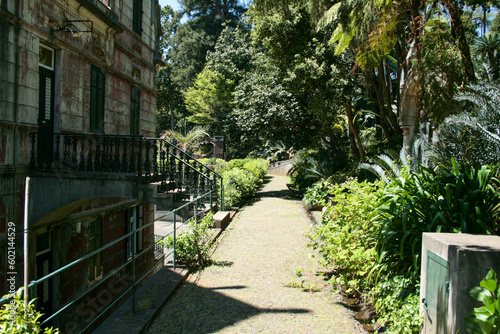 Madeira April 2023 Pico Areeiro Pico Ruivo Ponta de S  o Louren  o Tropical Garden 25 Fontes