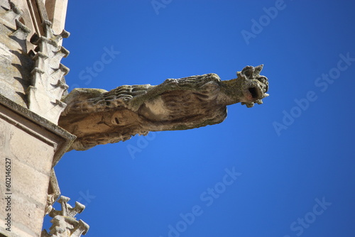 Catedral de Burgos 