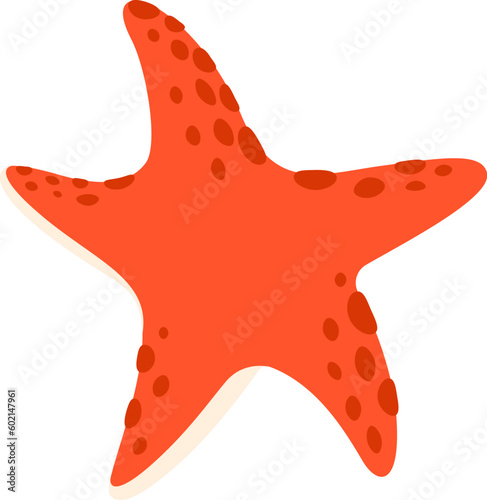 Starfish Sea Mollusk