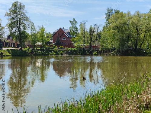 Rural pond © Konstantin