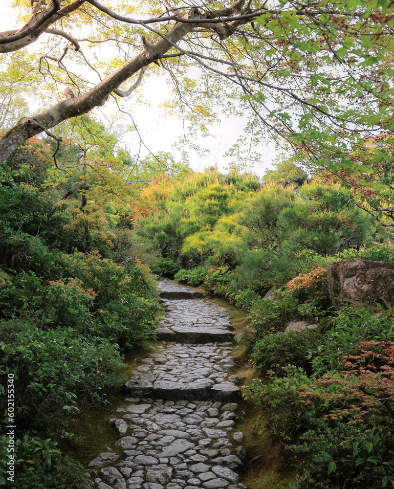 path in Ōkōchi Sansō garden