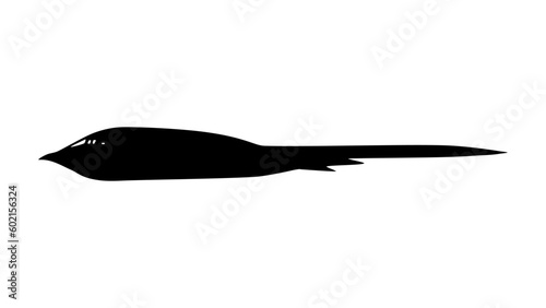 B2 Stealth silhouette