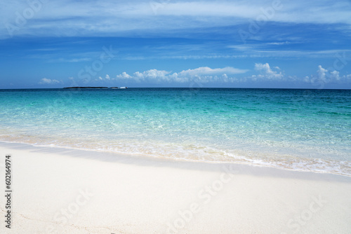 Tropical beach with white sand and blue water in Paradise Island  Bahamas