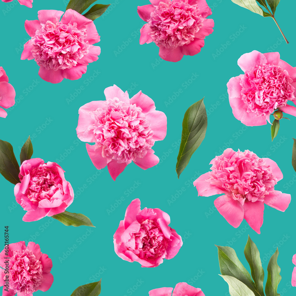 Seamless pattern of pink peony flowers photo on turquoise blue color background	