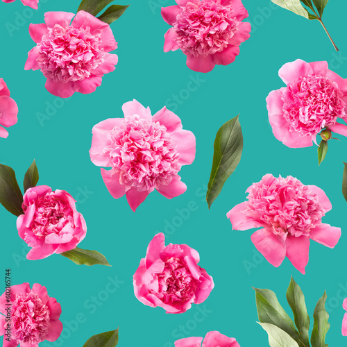Seamless pattern of pink peony flowers photo on turquoise blue color background  © justesfir