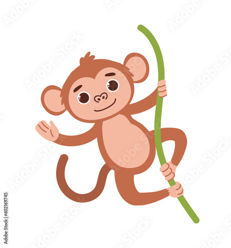 Cute safari monkey