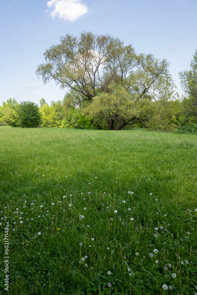 Spring view of South Park in city of Sofia, Bulgaria