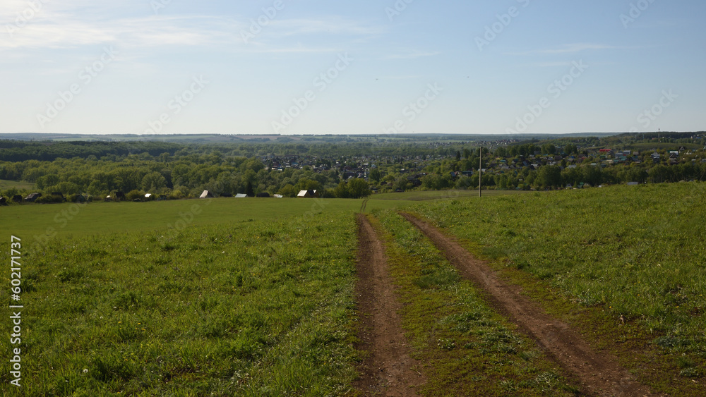 landscape in spring