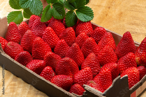 New harvest, 1 kilogram box of ripe red sweet Spanish strawberry