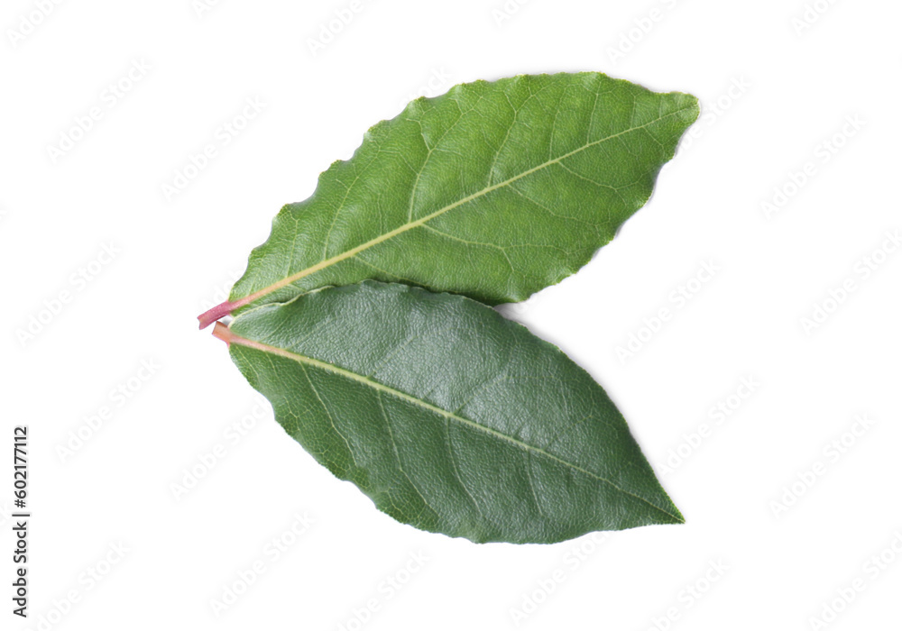 Fototapeta premium Fresh bay leaves isolated on white, top view