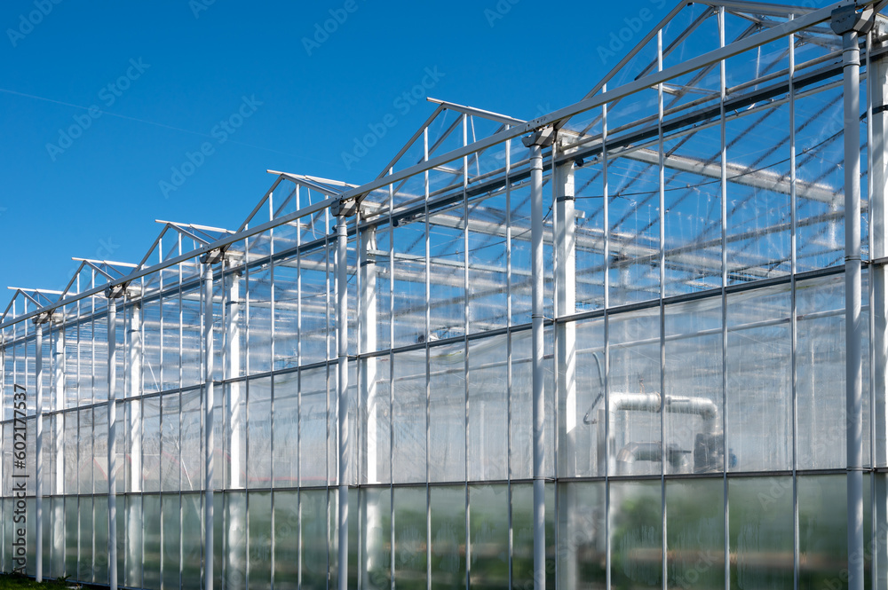 All seasons fresh vegetables, fruits and flowers, agriculture in Netherlands, big modern greeenhouses in Limburg, exterior view All seasons fresh vegetables, fruits and flowers, agriculture in Netherlands, big modern greeenhouses in Limburg, exterior view
