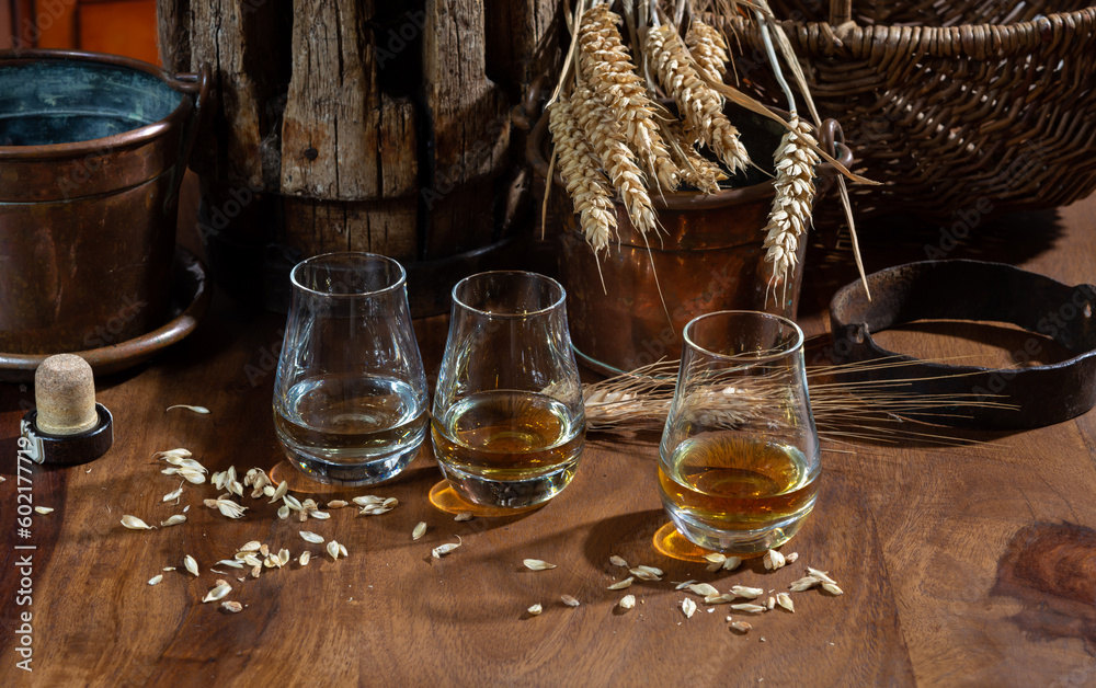 Speyside scotch whisky tasting on old dark wooden vintage table with barley grains close up Speyside scotch whisky tasting on old dark wooden vintage table with barley grains close up